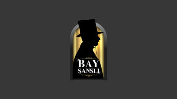 Baysansli giriş işlemi ekran tanıtımı