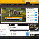 betfair sanal bahis