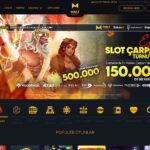 maltcasino giriş adresi