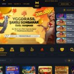 maltcasino slot oyunları
