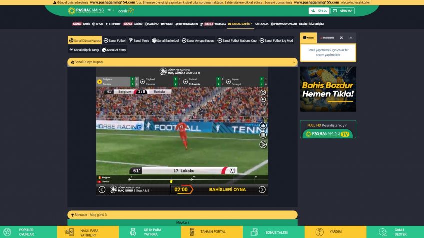 Pashagaming sanal bahis oyunları