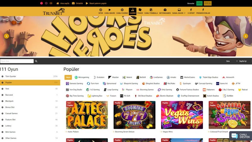Truvabet casino giriş sağlayıcıları