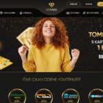 vippark giriş adresi